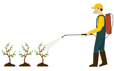 Organic Fertilizer